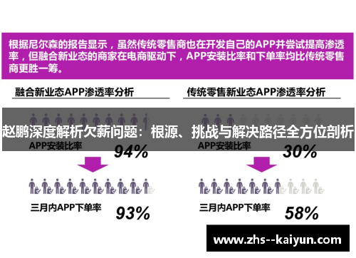 赵鹏深度解析欠薪问题：根源、挑战与解决路径全方位剖析